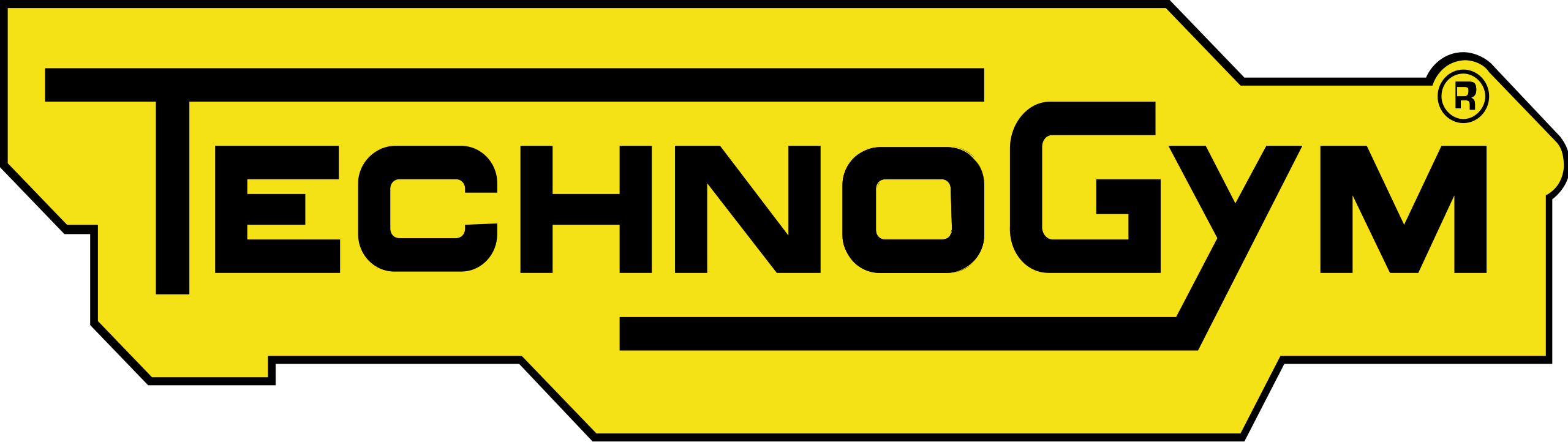 Logo Tehnogym